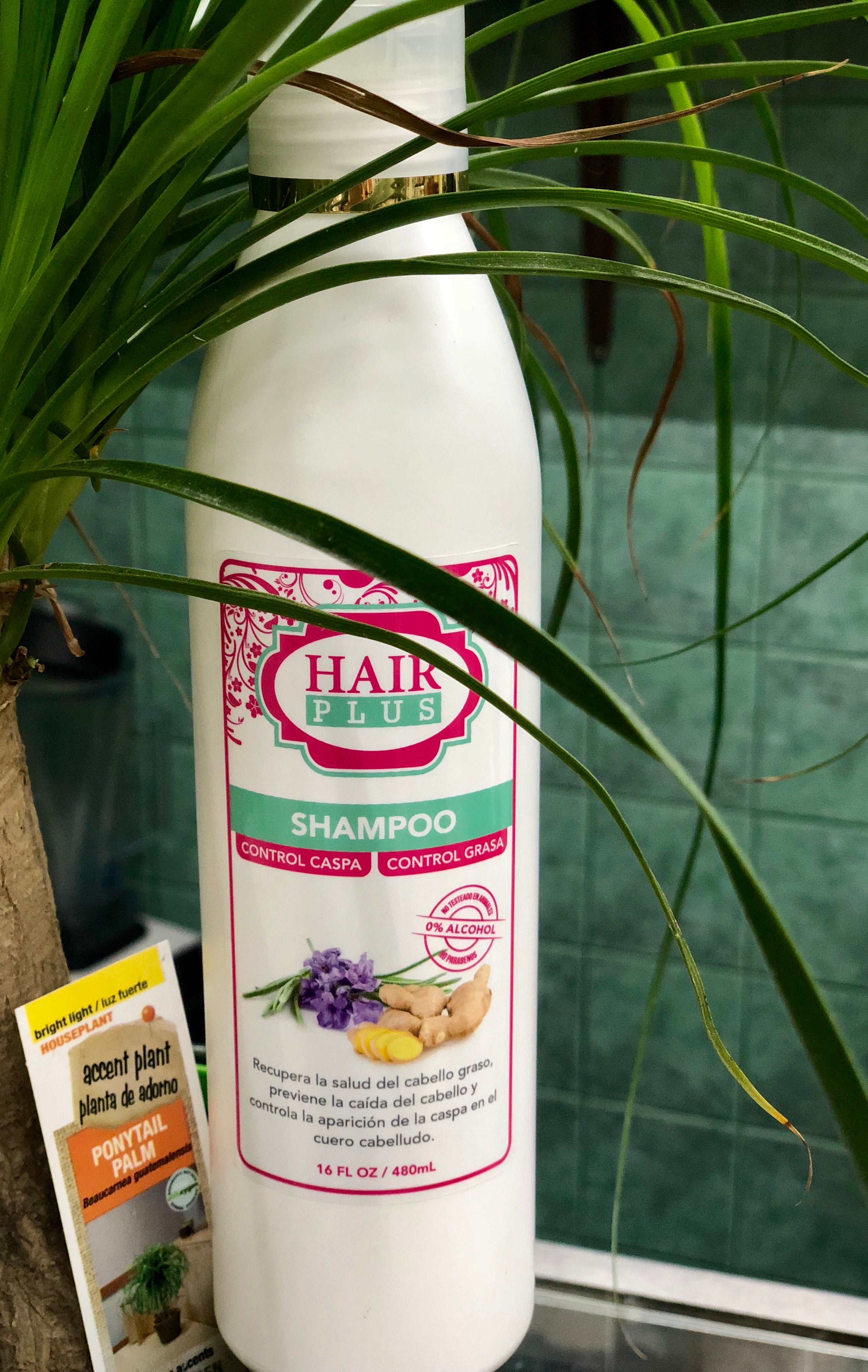 Shampoo Anti-Caspa Anti-Grasa 16oz